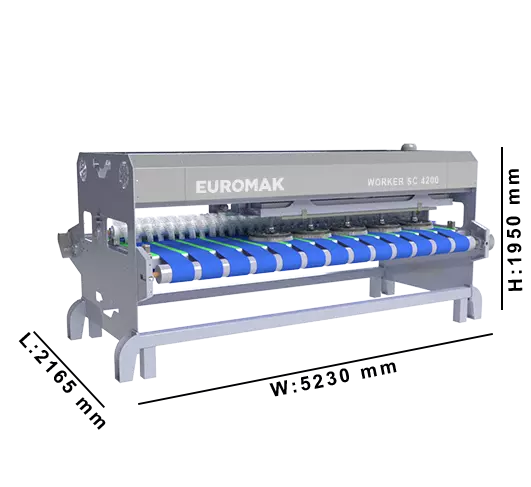 carpet-washing-machine-worker-4200-size